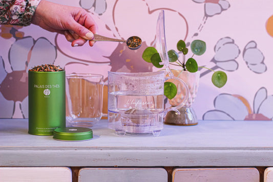 Palais des Thés Infuser 0.45L